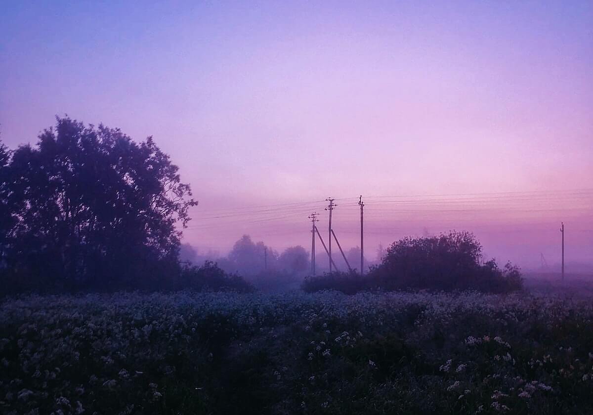 开云-美媒模拟最佳新秀投票 贾·莫兰特全票强势当选
